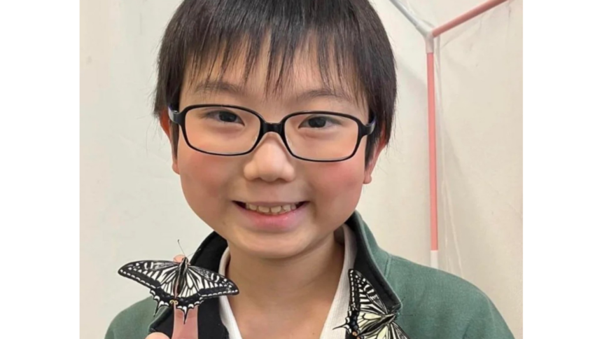 Meet Jo Nagai: 10-year-old Japanese student who discovered butterflies can remember their time as caterpillars after he notic