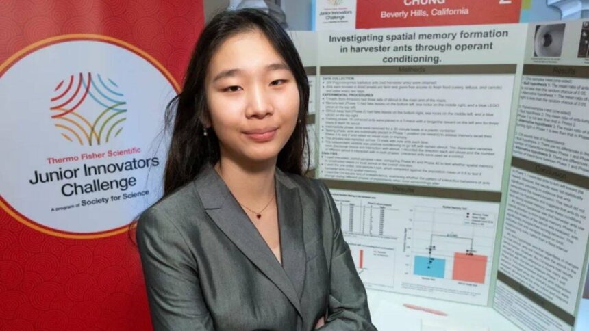 Meet Seungah Chung, the US eighth-grader who used 200 ants to discover landmark navigation
