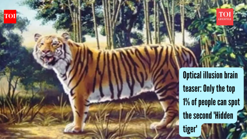 Optical illusion brain teaser: Only the top 1% of people can spot the second 'Hidden tiger'