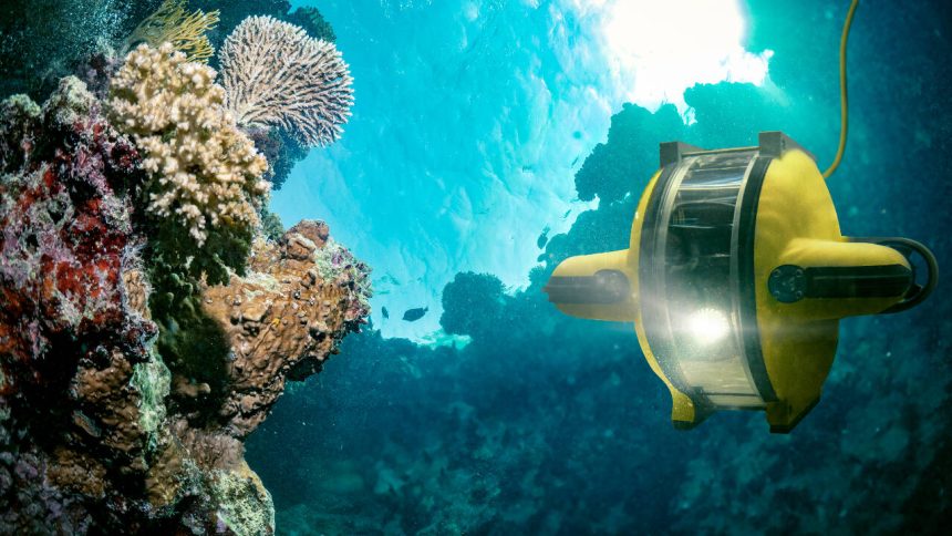 Secret winter ocean conveyor: Study tracks chlorophyll plunges to 1,000m; deep sea stores carbon