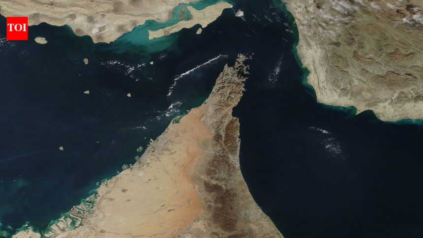 The reopening of the Strait of Hormuz could lead to an unprecedented global invasion of alien marine species
