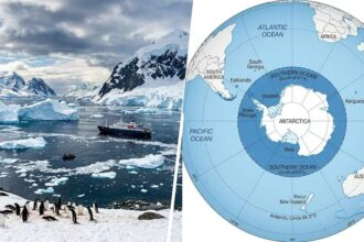 The Southern Ocean may be Earth’s safest place to remove carbon from the atmosphere, scientists find