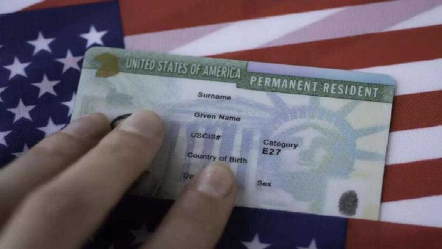 'USCIS makes mistakes': Immigration expert breaks down new H-1B, Green Card rule, calls its another step in dismantling legal