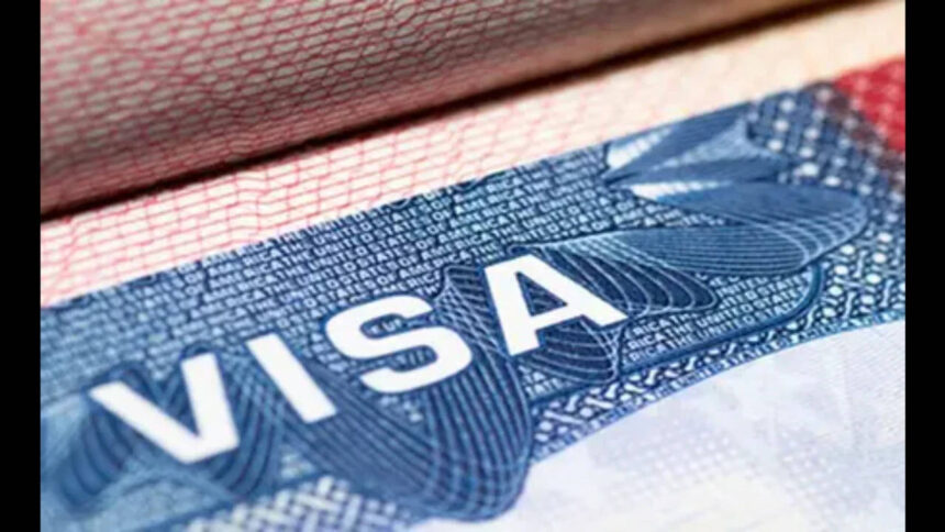 What happened to 'Green Cards stapled to diplomas': Attorney reacts to proposal of $100,000 OPT fee