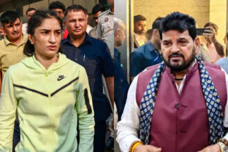 Wrestlers to challenge Brij Bhushan's acquittal; Vinesh says 'legal battle far from over'